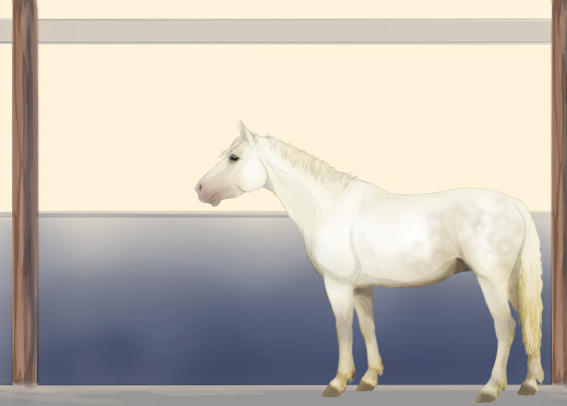 753690 (a): :3500x2500